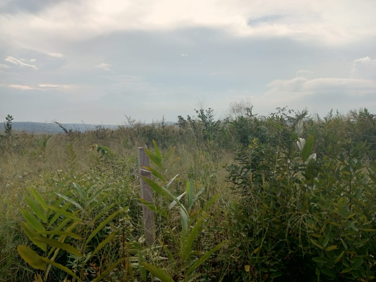 Terrain cadastré n° 152 121