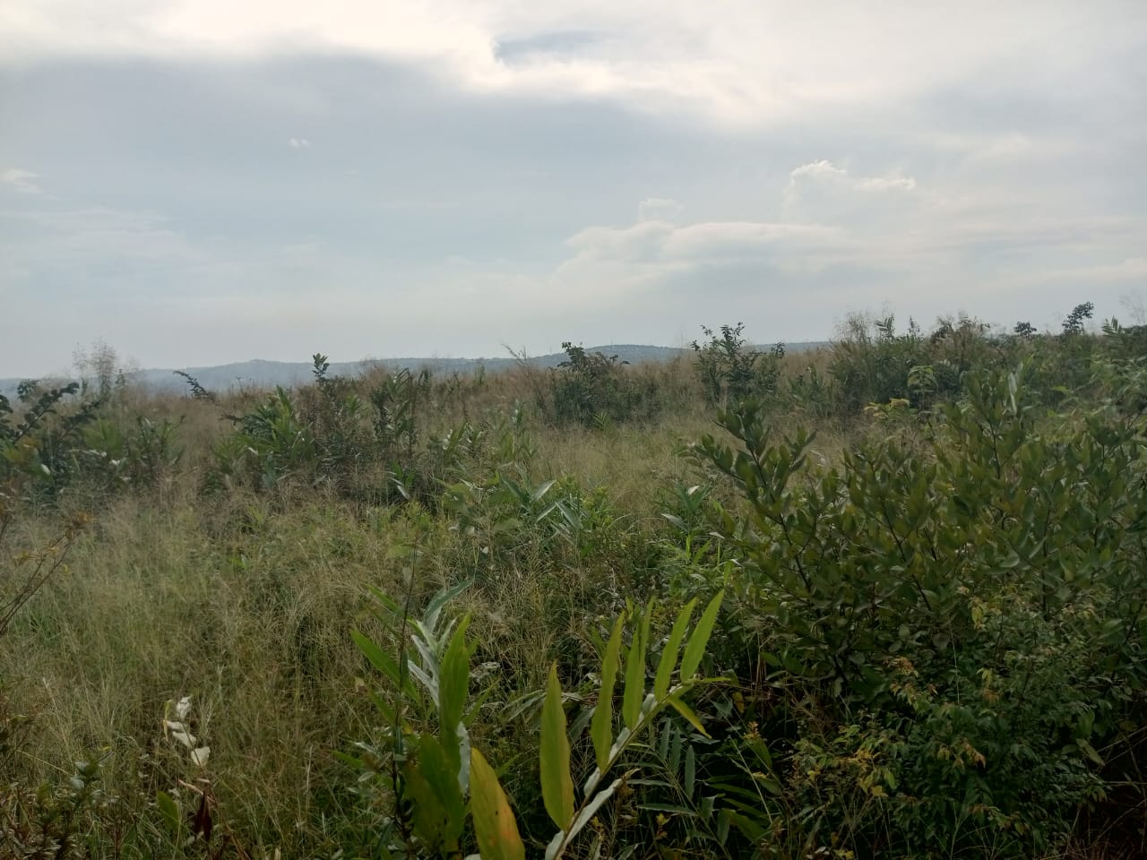 Terrain cadastré n° 152 127