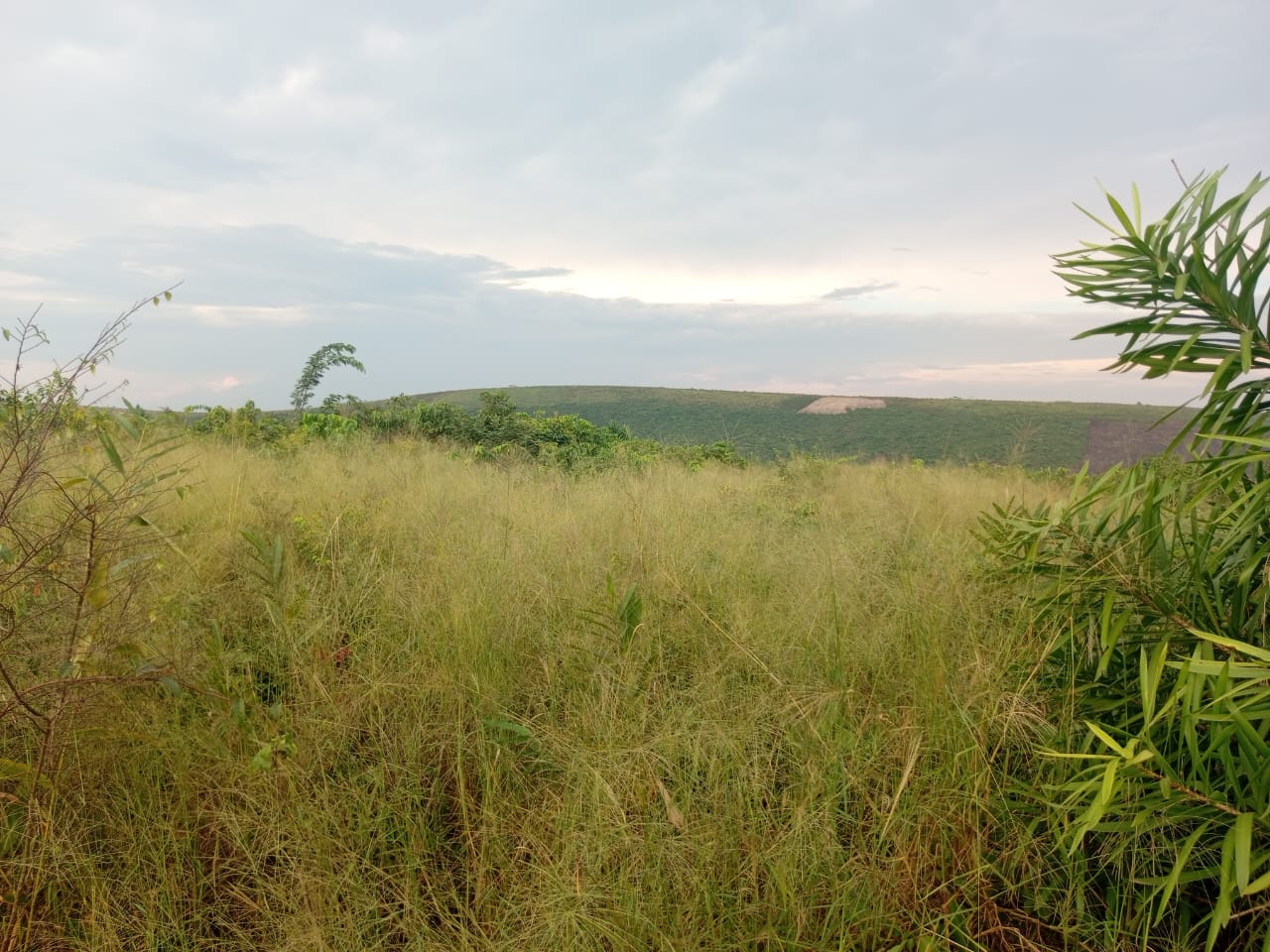 Terrain cadastré n°152 124