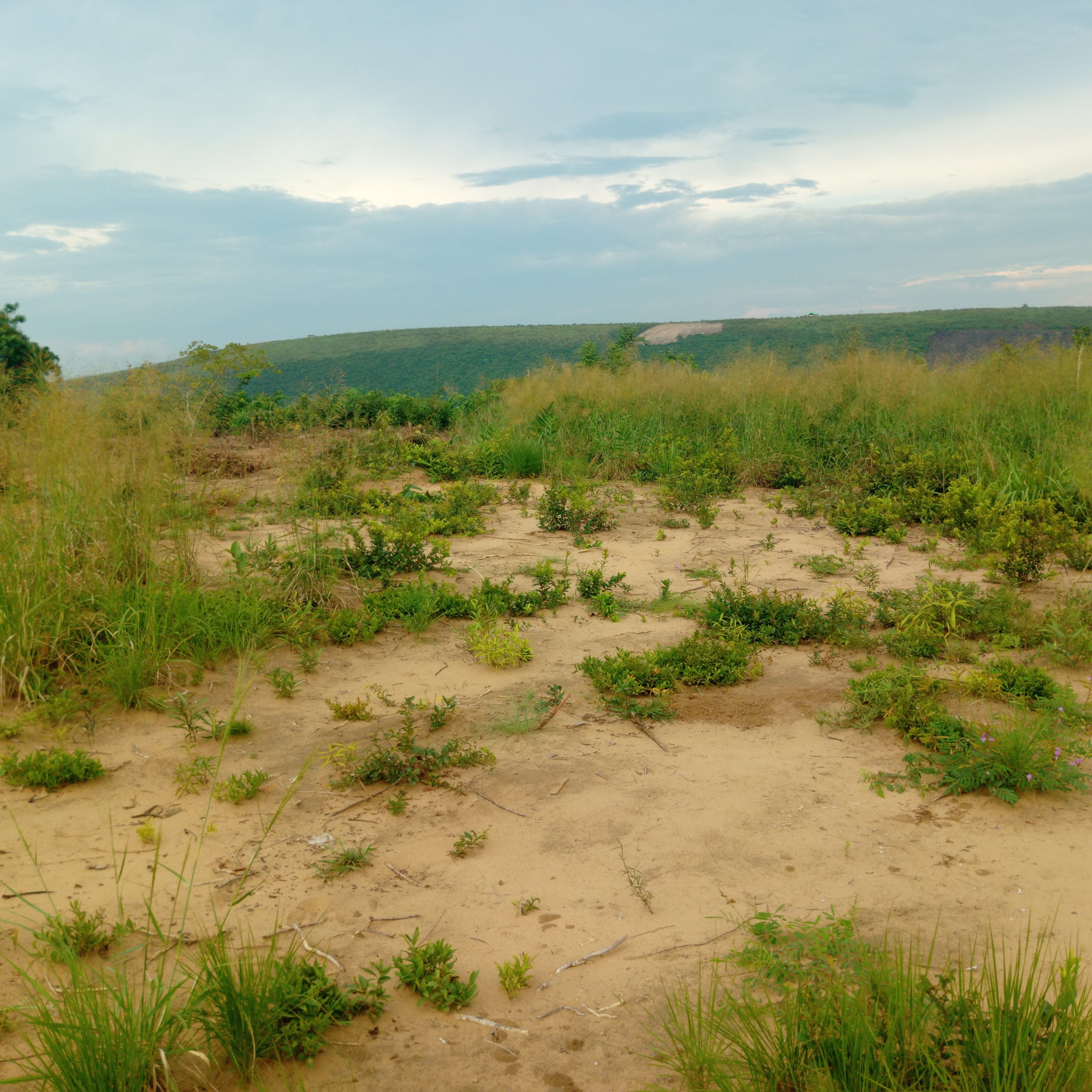 Terrain cadastré n° 152 163