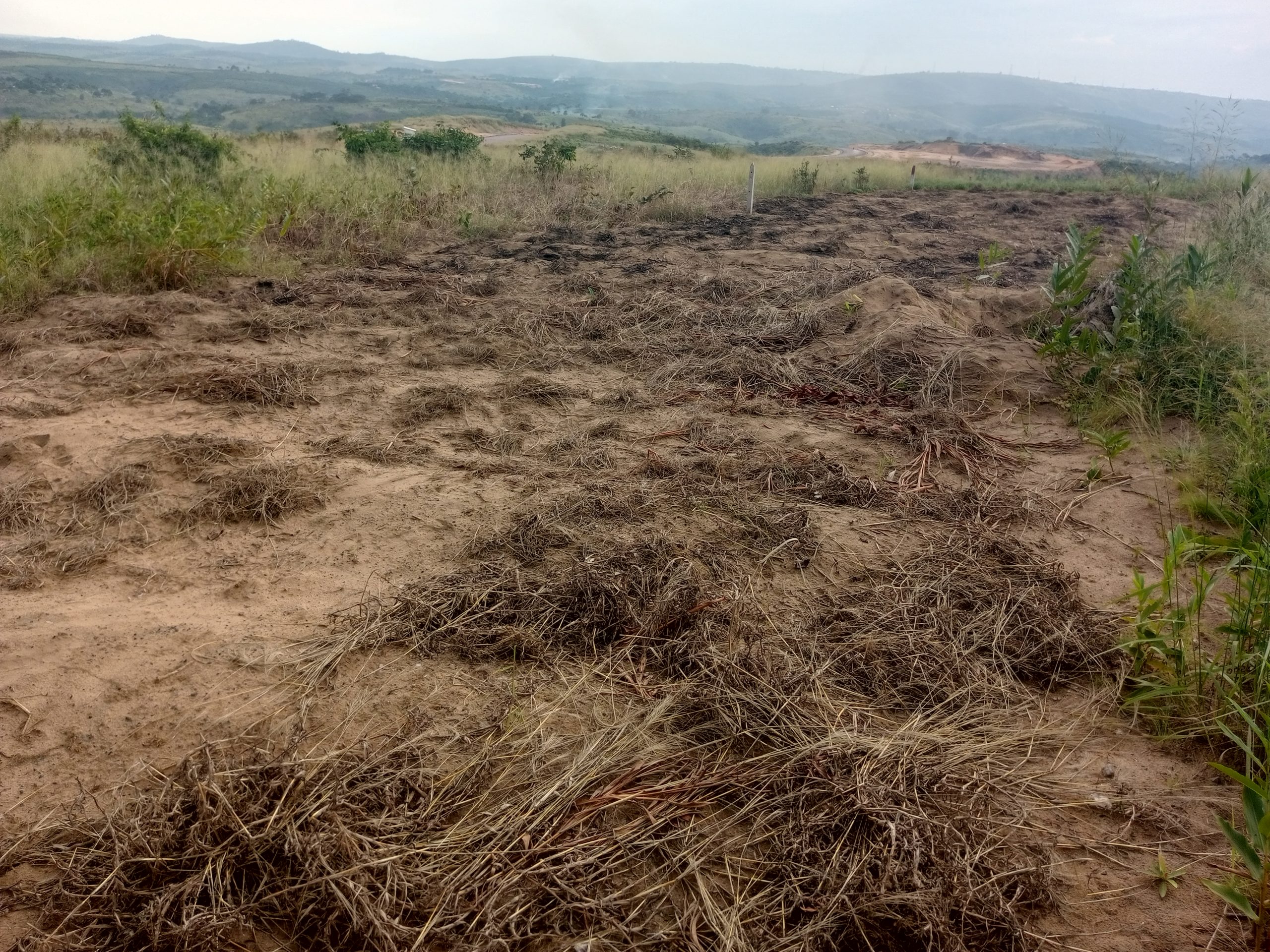 Terrain cadastré n° 152 133