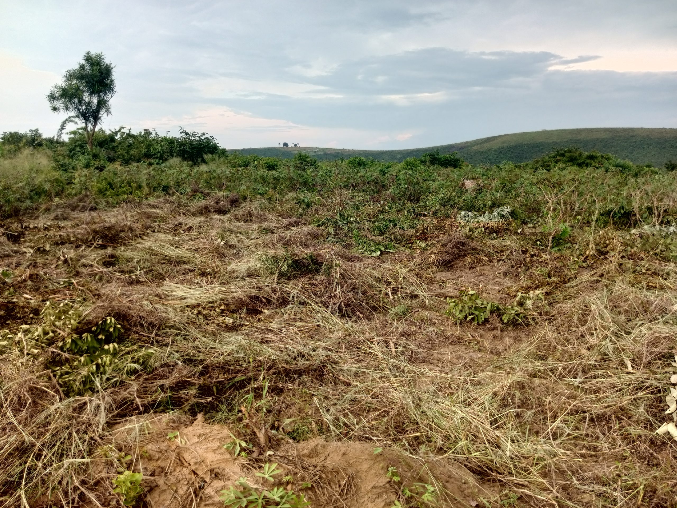 Terrain cadastré n° 152 125