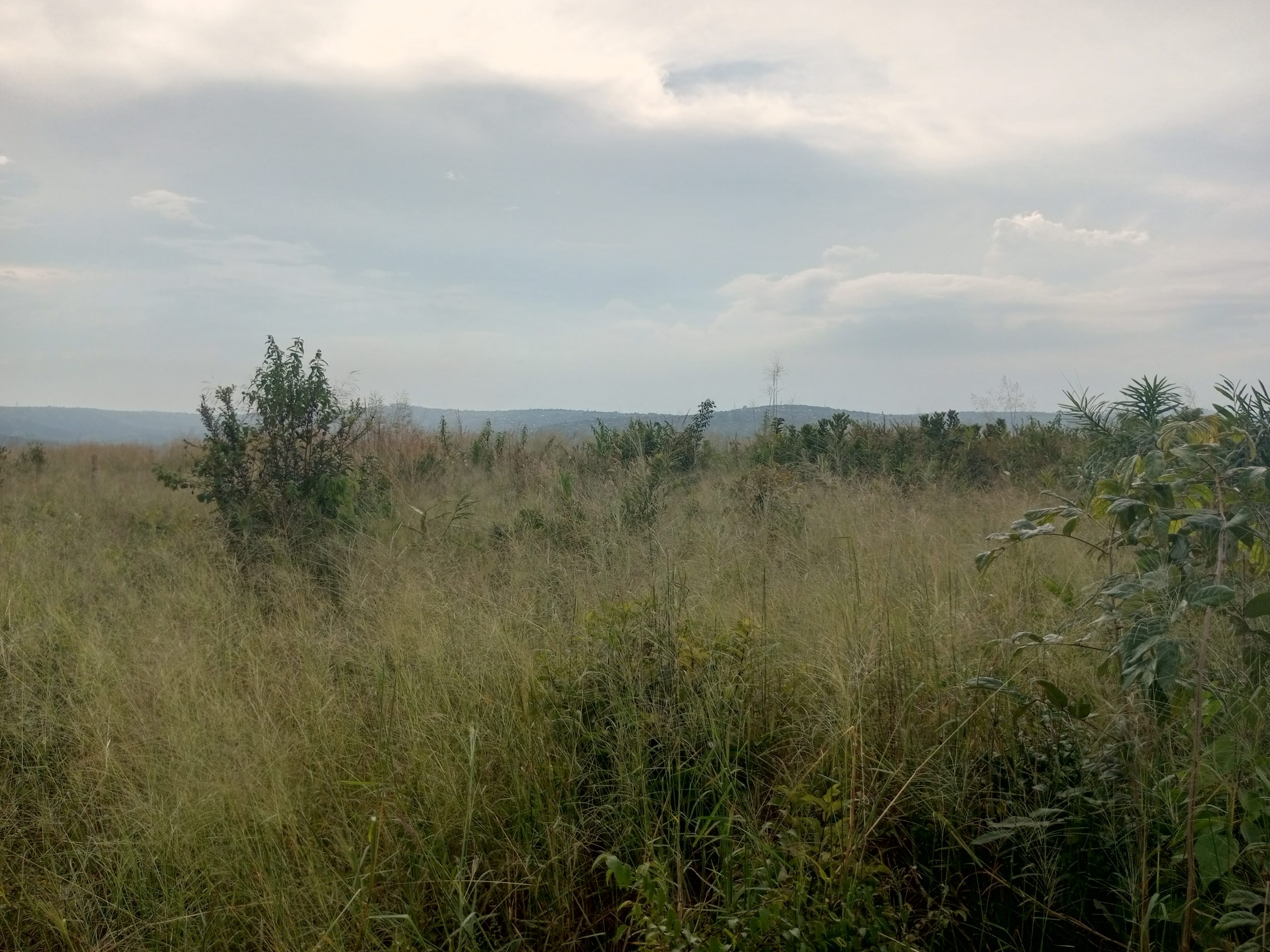 Terrain cadastré n° 152 149