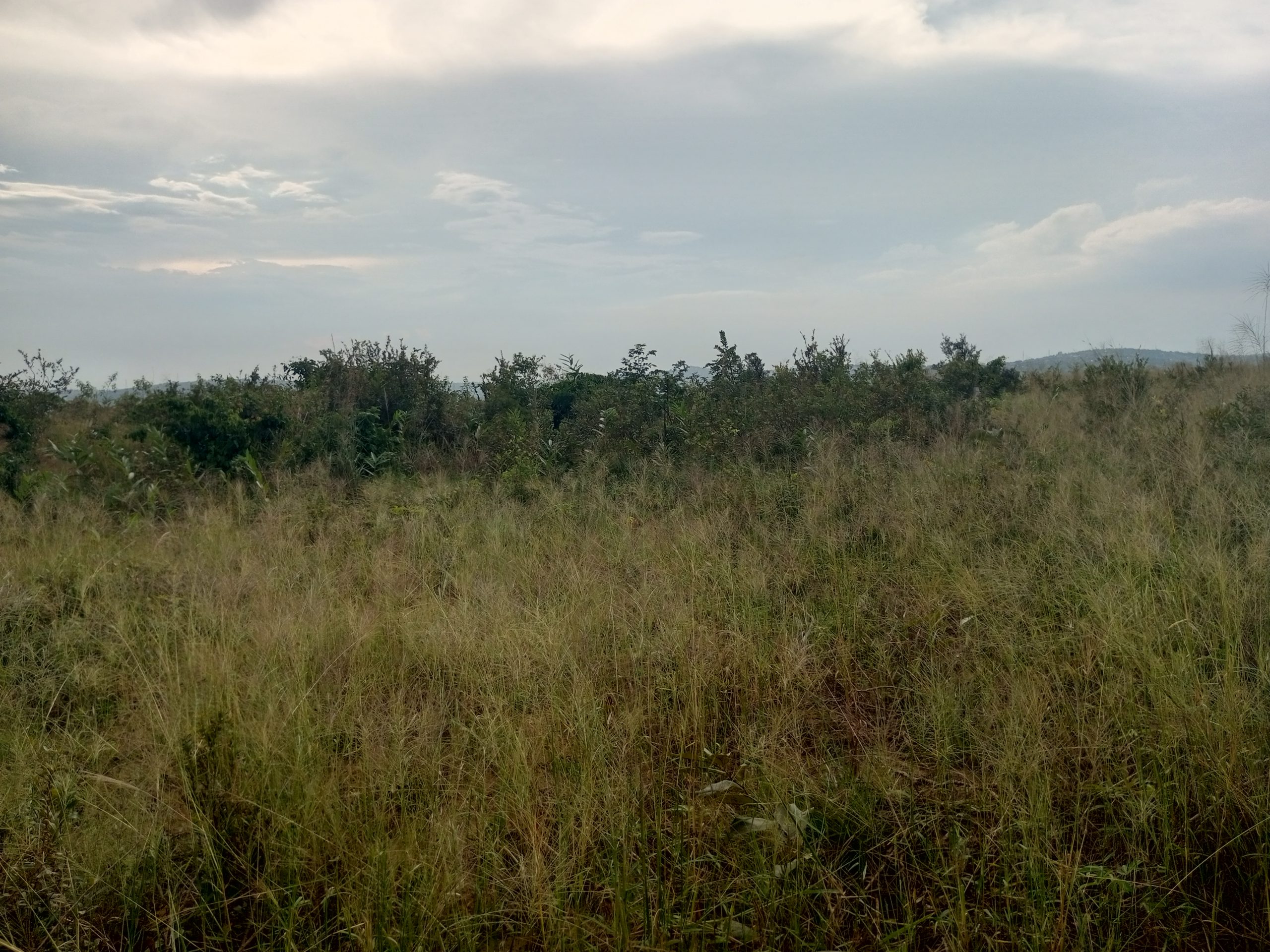 Terrain cadastré n° 152 131