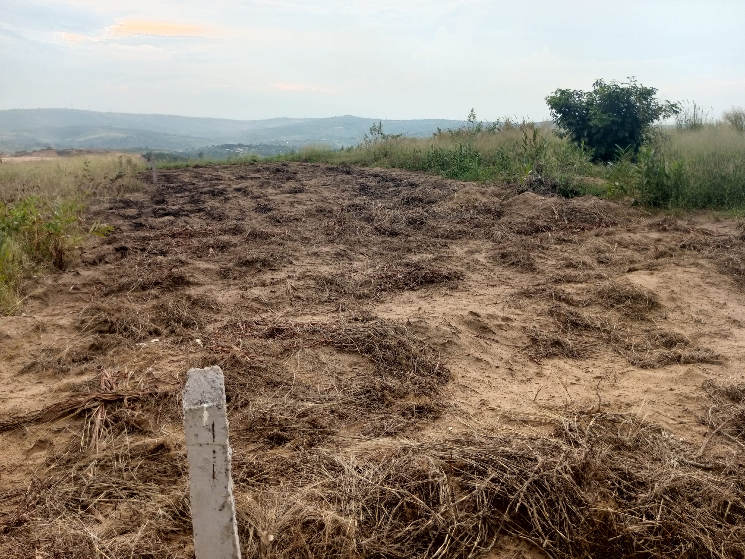 Terrain cadastré n° 152 142