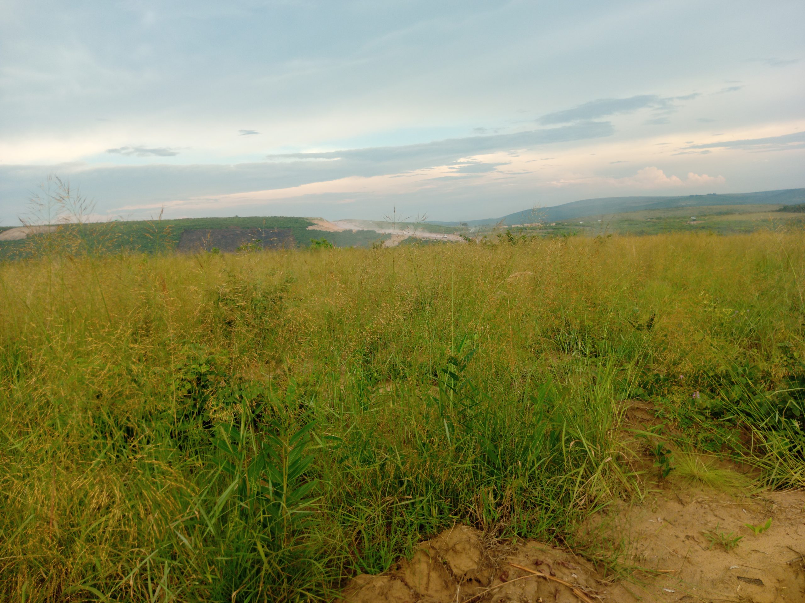 Terrain cadastré n° 152 148