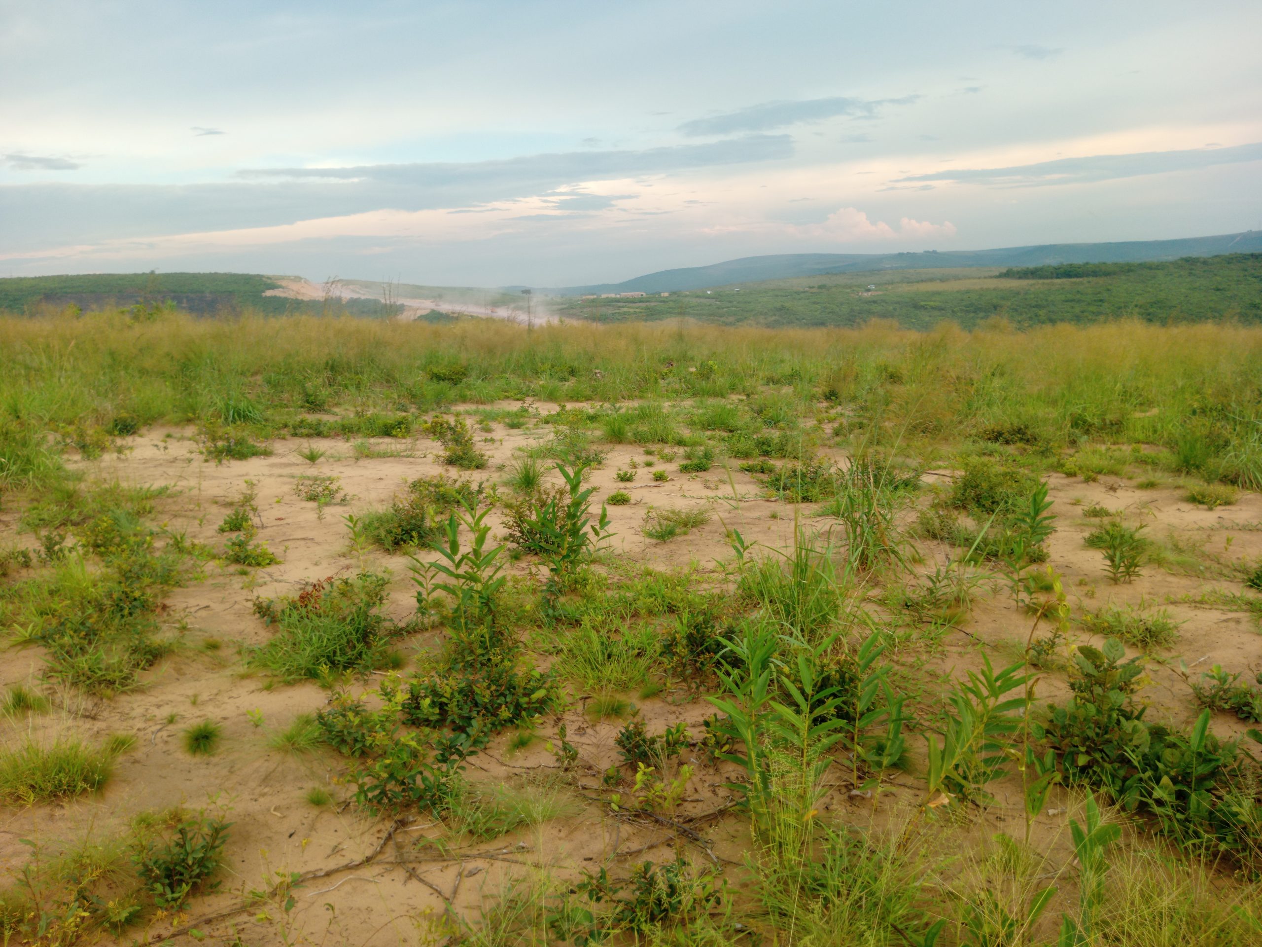 Terrain cadastré n° 152 155