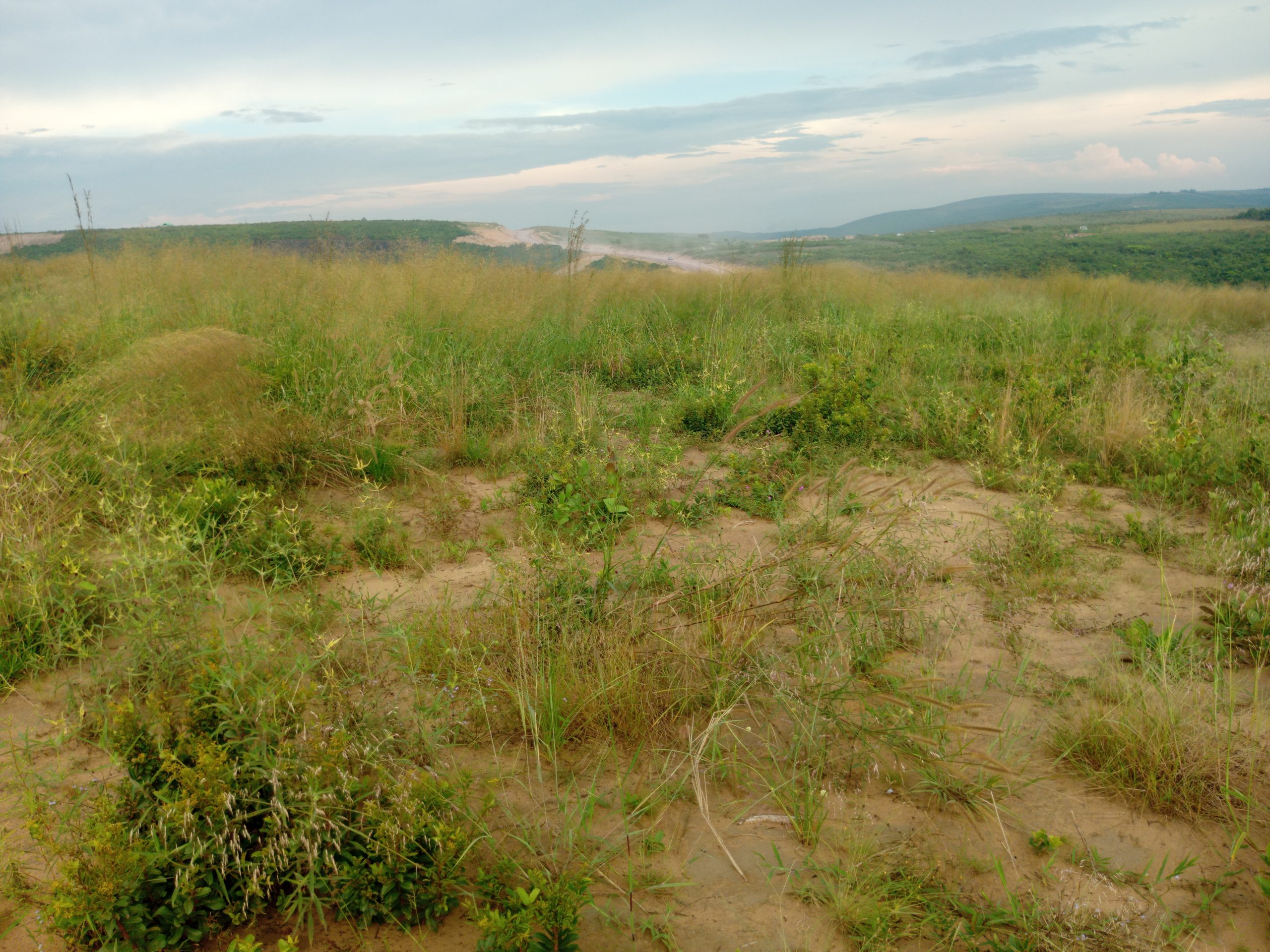 📍 Opportunité Immobilière à Kinshasa

Découvrez ce terrain cadastré et sécurisé. IMMOSOLD vous accompagne de la visite à la mutation foncière à des prix très compétitifs .